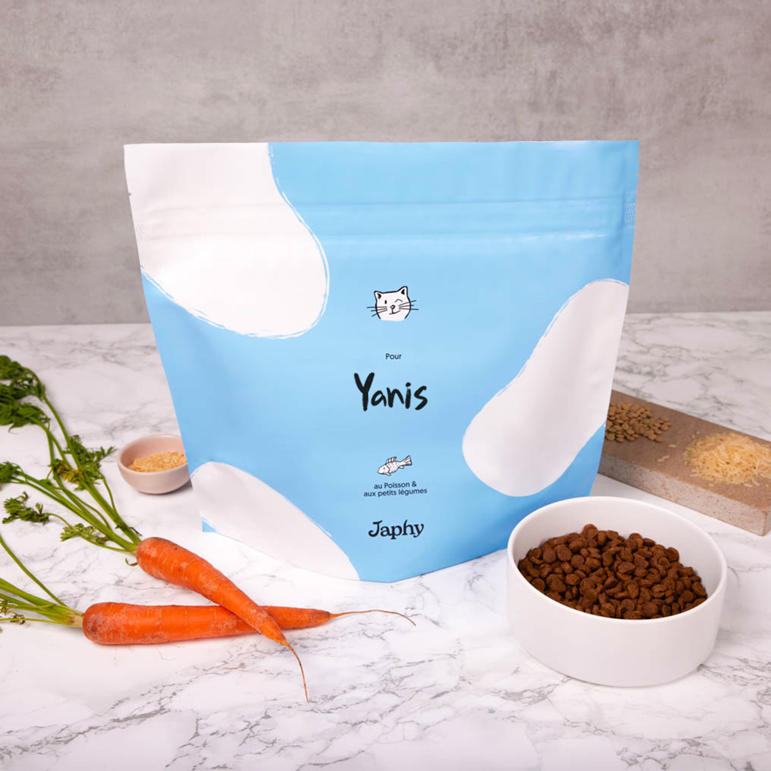 Sac chat poisson.jpg